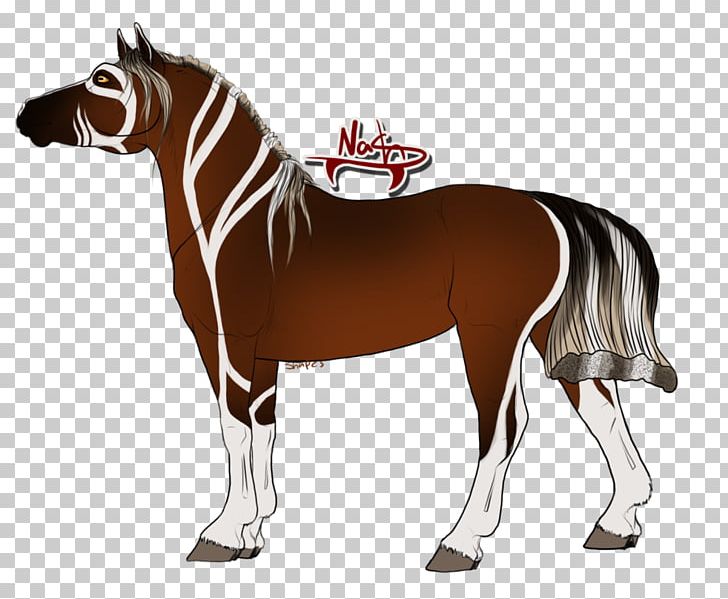 Stallion Mustang Mule Pony Mare PNG, Clipart, Animal, Animal Figure, Bridle, Halter, Horse Free PNG Download
