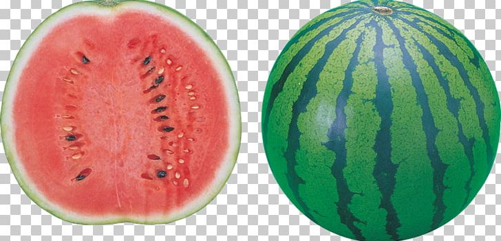 Watermelon Food PNG, Clipart, Citrullus, Clip Art, Computer Icons, Cucumber Gourd And Melon Family, Diet Food Free PNG Download