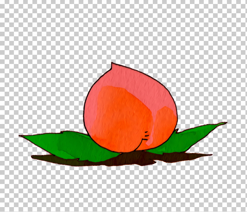 Petal Leaf Orange S.a. Flower PNG, Clipart, Biology, Cartoon Fruit, Flower, Kawaii Fruit, Leaf Free PNG Download