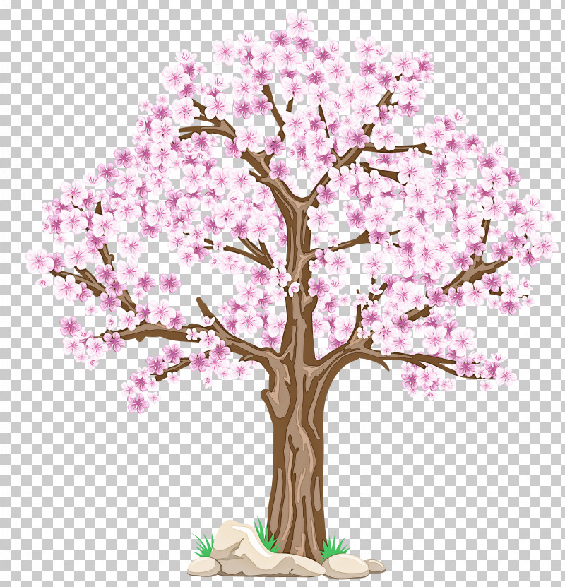 Cherry Blossom PNG, Clipart, Blossom, Branch, Cherry Blossom, Flower, Houseplant Free PNG Download
