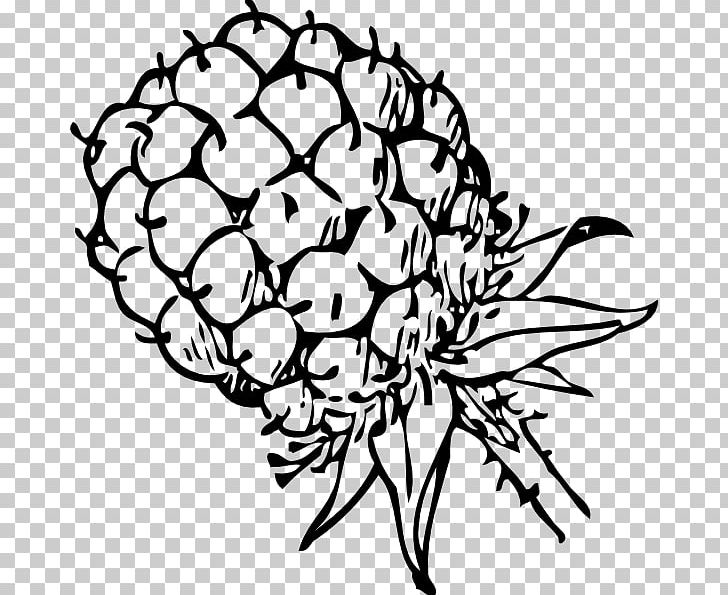BlackBerry PNG, Clipart, Black And White, Branch, Cut Flowers, Download, Flora Free PNG Download
