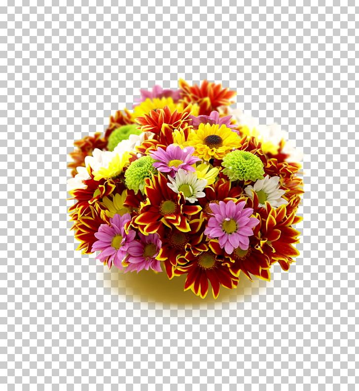 Desktop PNG, Clipart, 1080p, Chrysanths, Cut Flowers, Desktop Wallpaper, Download Free PNG Download