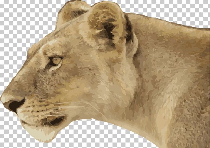 Lion Drawing Chobe National Park Dog PNG, Clipart, Animal, Animals, Big Cats, Carnivoran, Cat Like Mammal Free PNG Download