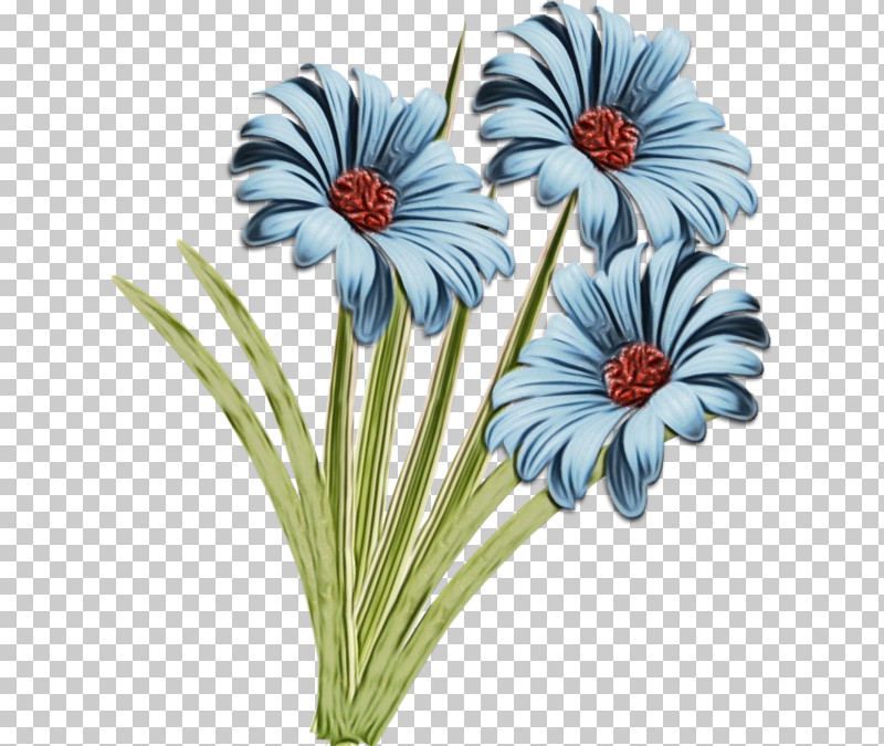 Transvaal Daisy Cut Flowers Flower Petal Plant PNG, Clipart, Biology, Cut Flowers, Flower, Paint, Petal Free PNG Download