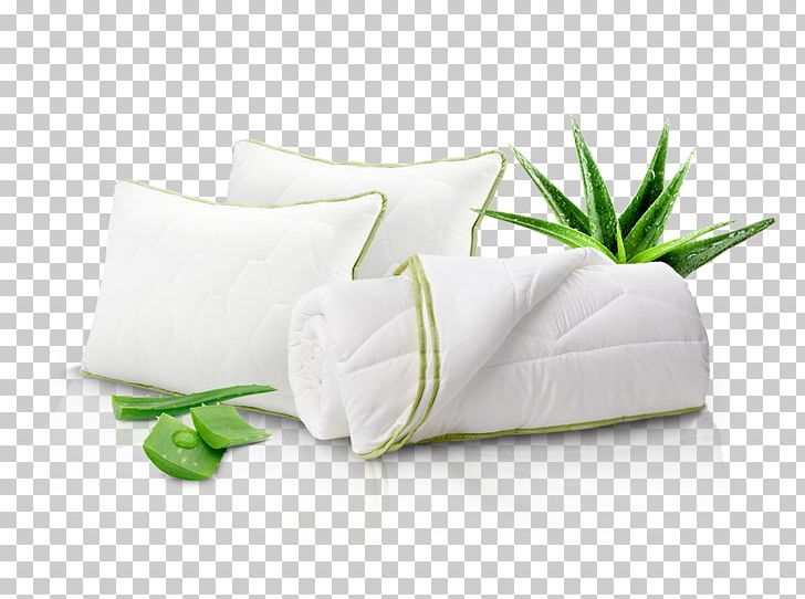 Aloe Vera Plant Pillow Search For Extraterrestrial Intelligence PNG, Clipart, Aloe, Aloe Vera, Food Drinks, Linens, Persona Free PNG Download