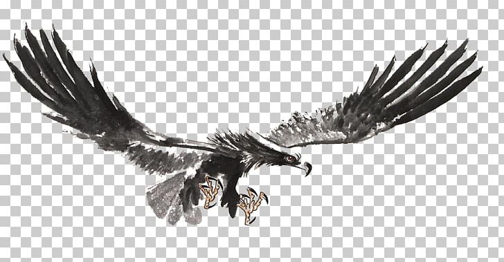 Bald Eagle Chinese Painting Ink Wash Painting PNG, Clipart, Angel Wing, Angel Wings, Animal, Beak, Bird Free PNG Download