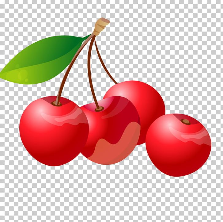 Barbados Cherry Auglis PNG, Clipart, Acerola, Apple, Auglis, Cherry, Cherry Blossom Free PNG Download