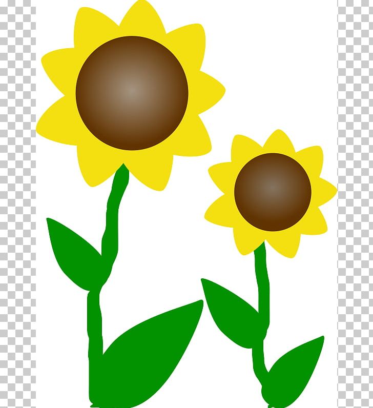 Common Sunflower Free Content Drawing PNG, Clipart, Artwork, Common Sunflower, Computer Icons, Daisy Family, Download Free PNG Download