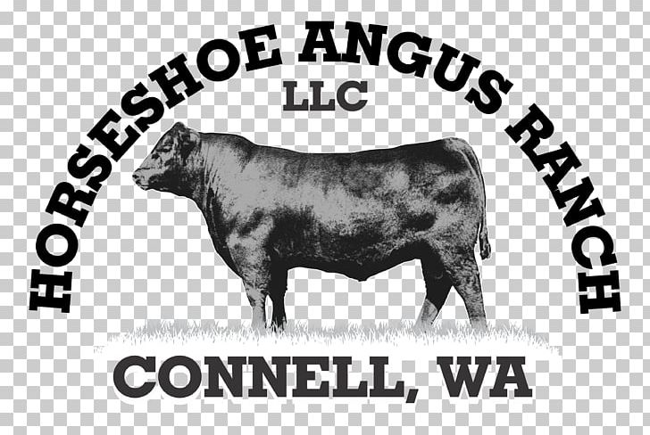 Bull Angus Cattle Beef Cattle Ox Calf PNG, Clipart, Advertising, Angus Cattle, Beef, Beef Cattle, Black And White Free PNG Download