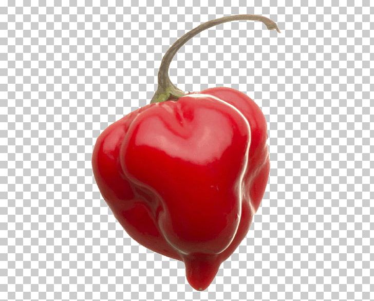 Habanero Red Savina Pepper Scoville Unit Chili Pepper Pungency PNG, Clipart, Bell Pepper, Bell Peppers And Chili Peppers, Cap, Capsaicin, Cayenne Pepper Free PNG Download