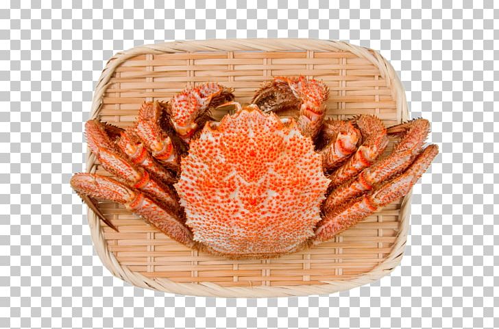 Horsehair Crab Seafood Red King Crab PNG, Clipart, Animals, Animal Source Foods, Aquatic, Bamboo Leaves, Baskets Free PNG Download