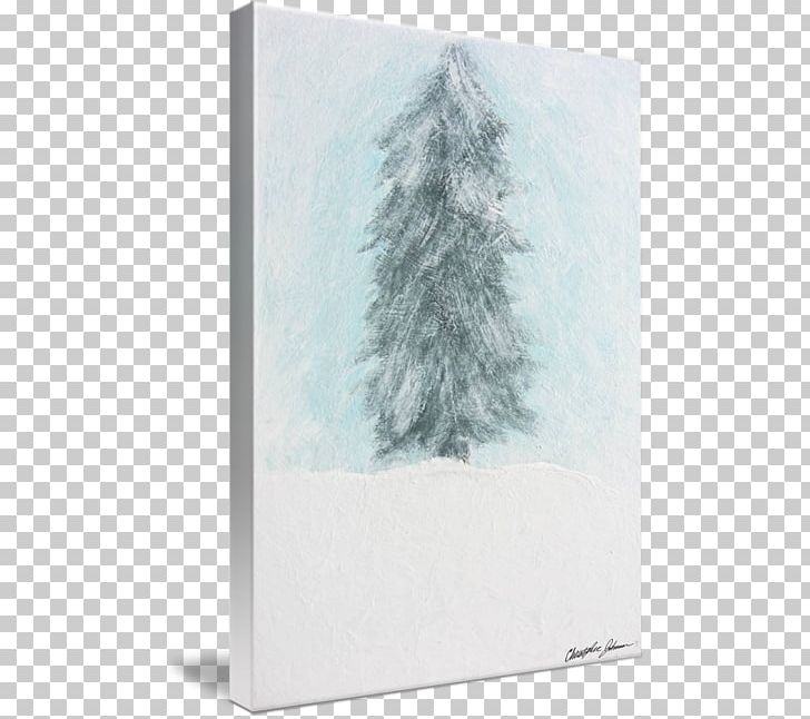 Spruce Winter Sky Plc PNG, Clipart, Conifer, Fir, Frost, Pine Family, Sky Free PNG Download
