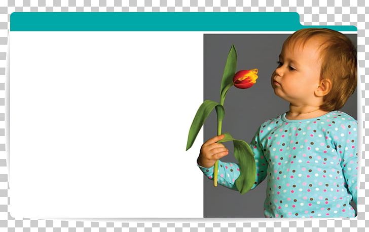 Toddler Flower PNG, Clipart, Child, Flower, Nature, Plant, Play Free PNG Download