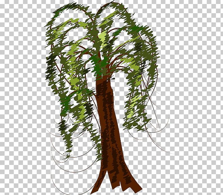 Tree Trunk Branch Graphics PNG, Clipart, Branch, Flowerpot, Fruit Tree, Houseplant, Leaf Free PNG Download