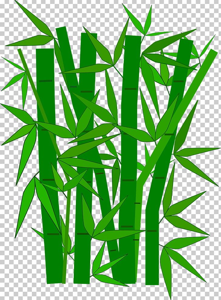 Bamboo Textile Green PNG, Clipart, Bamboo Border, Bamboo Frame, Bamboo Leaf, Bamboo Leaves, Boat Free PNG Download