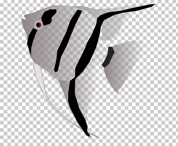Freshwater Angelfish PNG, Clipart, Angelfish, Animals, Creative Commons License, Fictional Character, Fish Free PNG Download
