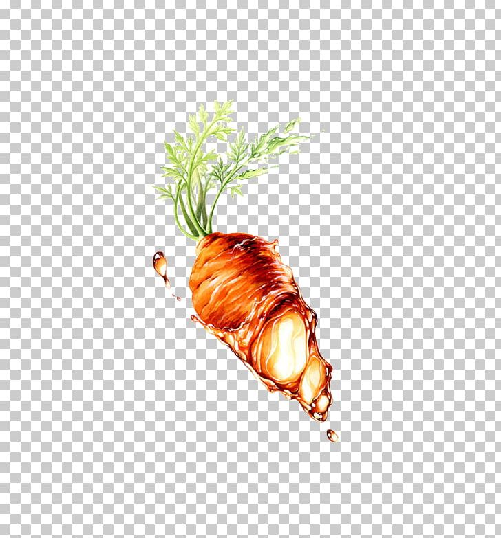 Carrot Seed Oil Vegetable PNG, Clipart, Bunch Of Carrots, Carrot, Carrot Cartoon, Carrot Juice, Carrots Free PNG Download