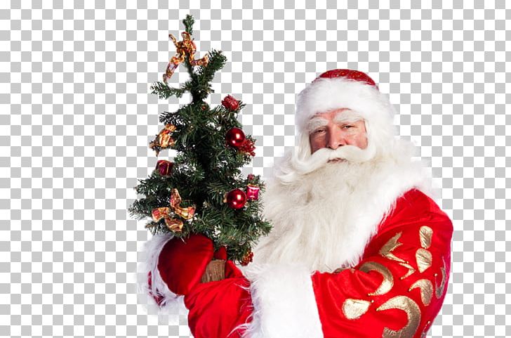 Christmas Tree Santa Claus Christmas Ornament Fir PNG, Clipart, 46000, Christmas, Christmas Decoration, Christmas Ornament, Christmas Tree Free PNG Download