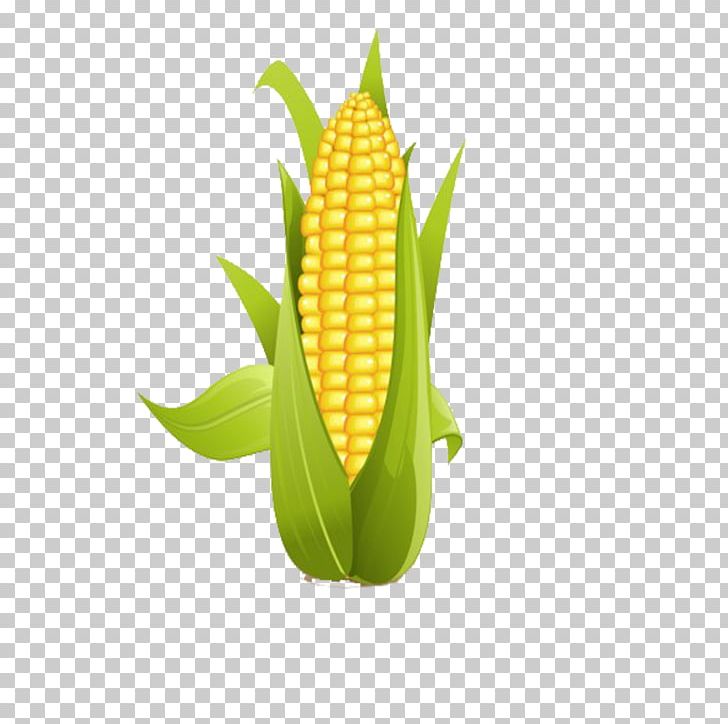 Corn On The Cob Sweet Corn PNG, Clipart, Cartoon Corn, Clip Art, Commodity, Corn, Corn Cartoon Free PNG Download