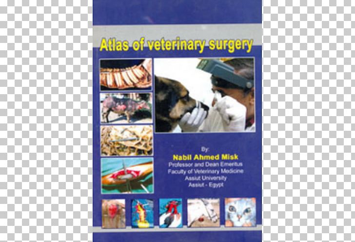 Veterinary Surgery Veterinary Medicine Musk Abjad PNG, Clipart, Abbeycroft Veterinary Surgery, Abjad, Advertising, Flyer, Musk Free PNG Download
