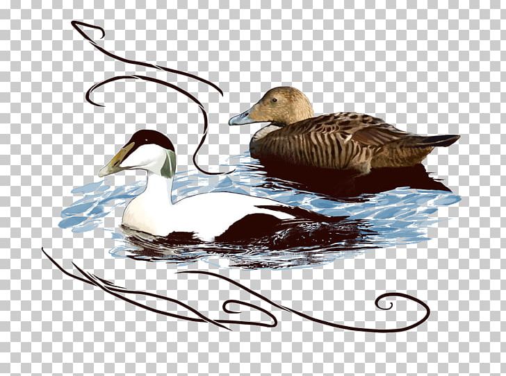Duck Goose Icon PNG, Clipart, Animal, Animals, Beak, Bird, Deviantart Free PNG Download