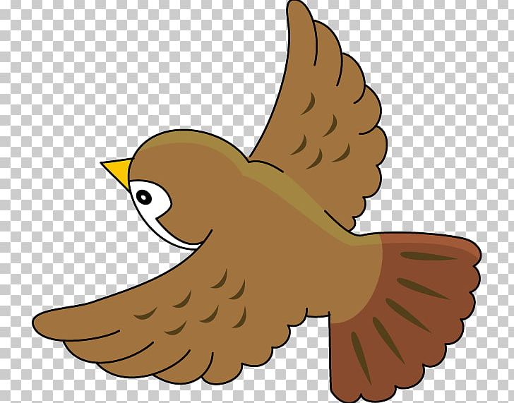 Bird House Sparrow Common Nightingale PNG, Clipart, Animal, Animals, Beak, Bird, Bird House Free PNG Download