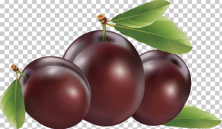 Plum PNG, Clipart, Plum Free PNG Download