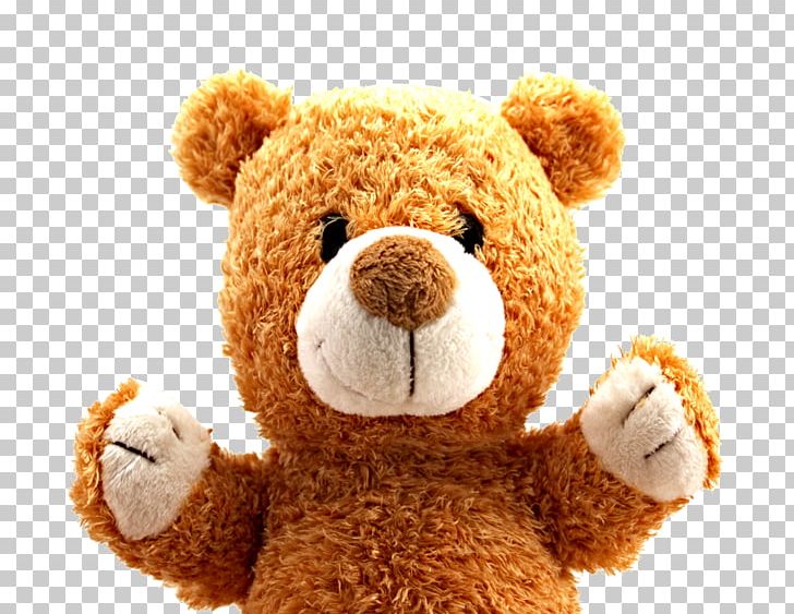Teddy Bear PNG, Clipart, Bear, Child, Clothing, Objects, Play Free PNG Download