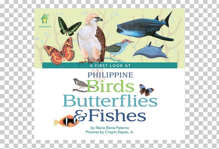 A First Look At Philippine Fruits A First Look At Philippine Birds Publishing Book Philippines PNG, Clipart, Advertising, Anthology, Beak, Bird, Board Book Free PNG Download