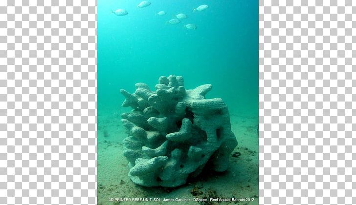 Coral Reef Stony Corals 3D Printing PNG, Clipart, 3d Computer Graphics, 3d Printing, Aqua, Coral, Coral Bleaching Free PNG Download