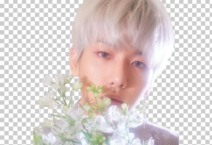 Exo-CBX Blooming Days K-pop PNG, Clipart, Baekhyun, Beauty, Blond, Blooming Days, Cbx Free PNG Download