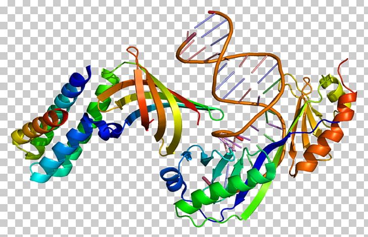 GTF2A1 Protein General Transcription Factor Transcription Factor II A PNG, Clipart, 2 A, Area, Body Jewelry, Dna, Gene Free PNG Download