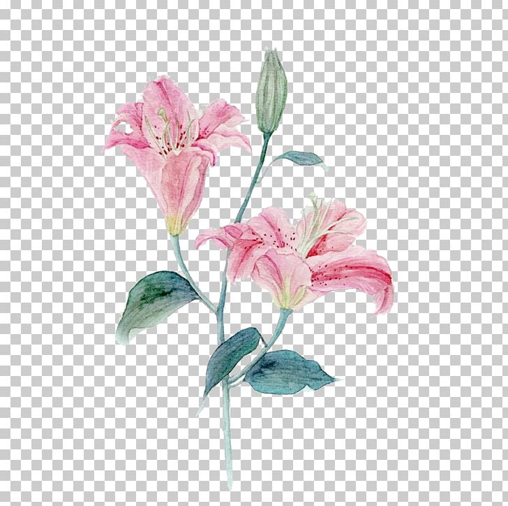 Lilium Pink Rose PNG, Clipart, Branch, Color, Cut Flowers, Floral Design, Floristry Free PNG Download