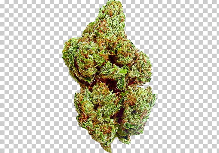 Medical Cannabis Kush Tetrahydrocannabinol Durban Poison PNG, Clipart, Cannabidiol, Cannabis, Cannabis Sativa, Cannabis Shop, Dota 2 Free PNG Download