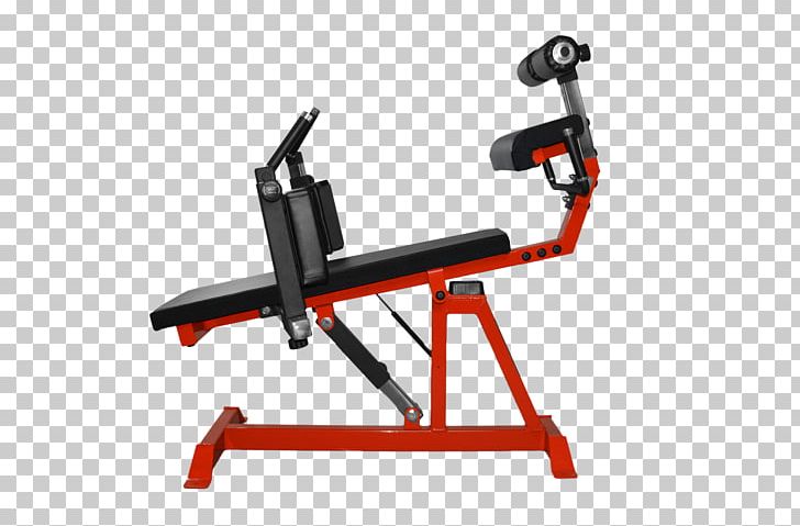 Bench Strength Training Barbell Fitness Centre Weight Training PNG, Clipart, Angle, Arsenal, Arsenal Strength, Barbell, Bench Free PNG Download