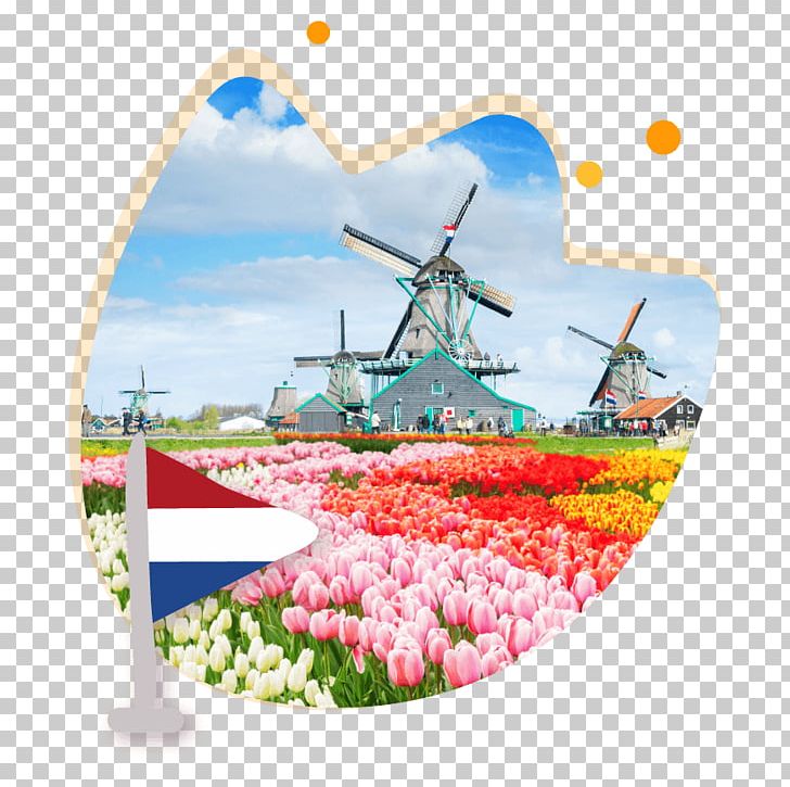 Dell Netherlands Vietnam デル 賞櫻 PNG, Clipart, Business, Dell, Energy, Europe, Flower Free PNG Download