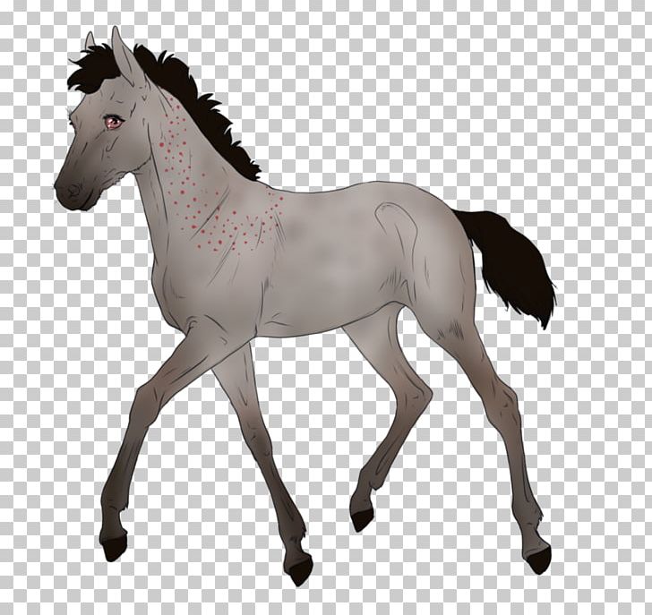 Mustang Arabian Horse Stallion Foal Pony PNG, Clipart, Andalusian Horse, Animal Figure, Arabian Horse, Australian Stock Horse, Colt Free PNG Download