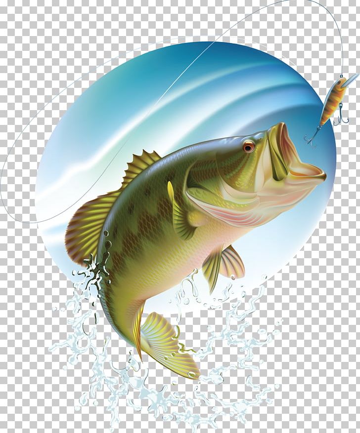Largemouth Bass Bass Fishing PNG, Clipart, Bass, Bass Fishing, Bony Fish, Fauna, Fin Free PNG Download