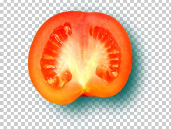 Plum Tomato Food Winter Squash Blood Orange PNG, Clipart, Blood, Blood Orange, Closeup, Closeup, Cucurbita Free PNG Download