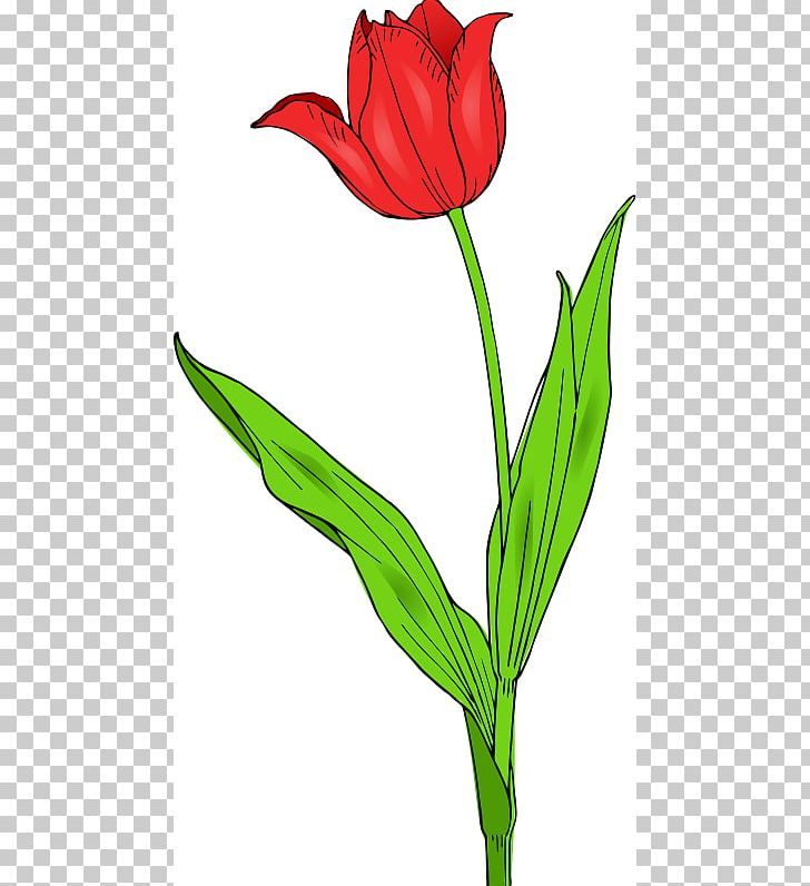 Tulipa Gesneriana Flower Free Content PNG, Clipart, Blog, Bud, Computer Icons, Cut Flowers, Flora Free PNG Download