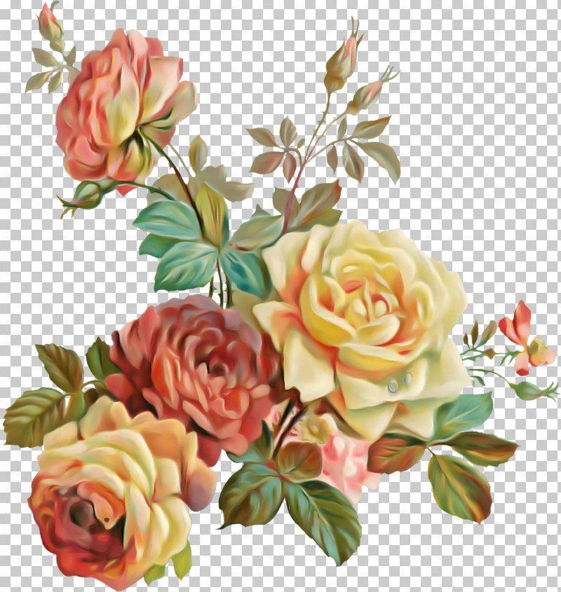 Garden Roses PNG, Clipart, Artificial Flower, Bouquet, Cut Flowers, Floral Design, Floribunda Free PNG Download
