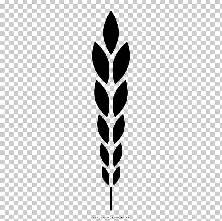 Drawing Coloring Book Wheat Norman Village Montessori School PNG, Clipart, Barley, Barley Malt, Bay Laurel, Black And White, Bread Free PNG Download