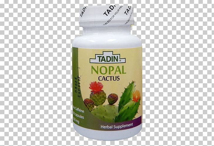 Herbal Tea El Nopal Aloe Vera PNG, Clipart, Aloe Vera, Cactus, Capsule, Dietary Supplement, Food Drinks Free PNG Download