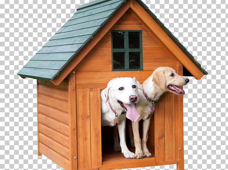 Labrador Retriever Golden Retriever Dog Houses Kennel Cat PNG, Clipart, Animals, Cat, Dog, Dog Breed, Dog Crate Free PNG Download