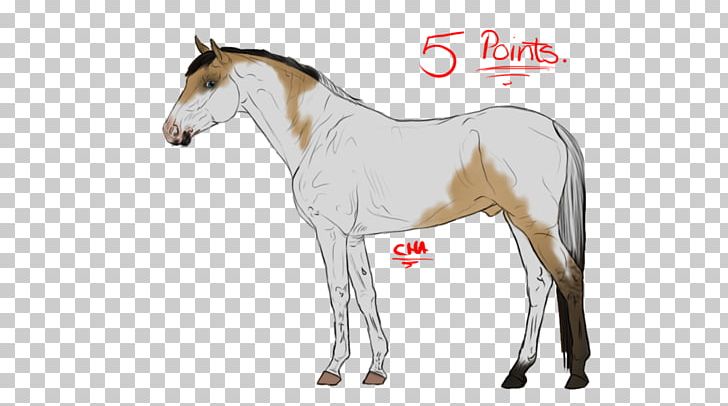 Mustang Foal Stallion Mare Colt PNG, Clipart, Animal Figure, Bridle, Colt, Foal, Halter Free PNG Download