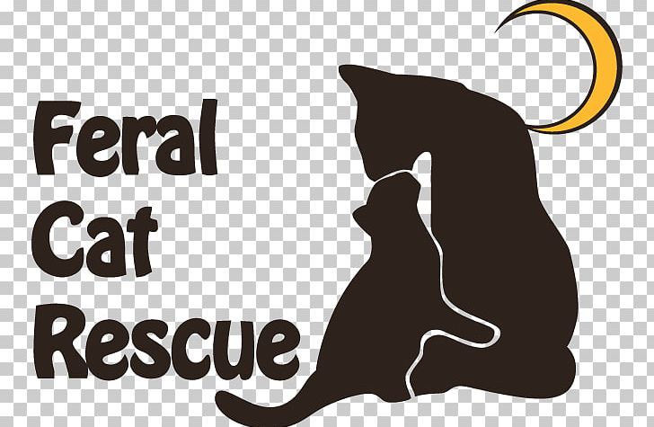 Whiskers Black Cat Feral Cat PNG, Clipart, Alley Cat Rescue, Animal Control And Welfare Service, Black, Carnivoran, Cat Like Mammal Free PNG Download