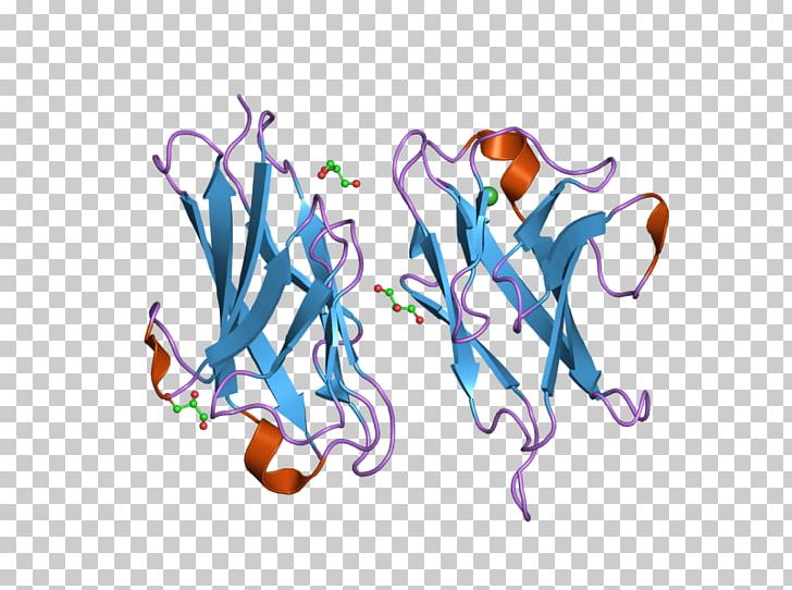 CEACAM1 Carcinoembryonic Antigen Cell Adhesion Cluster Of Differentiation Protein PNG, Clipart, Carcinoembryonic Antigen, Cell Adhesion, Computer Wallpaper, Logo, Miscellaneous Free PNG Download