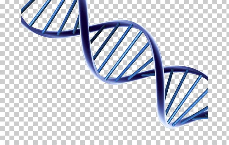 DNA Portable Network Graphics Nucleic Acid Double Helix PNG, Clipart, Desktop Wallpaper, Dna, Dna Replication, Genetics, Helix Free PNG Download
