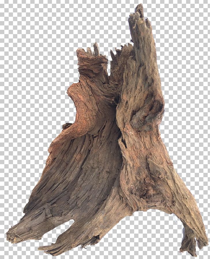 Driftwood Sculpture Trunk Tree PNG, Clipart, Aquarium, Art, Bark, Driftwood, Driftwood Sculpture Free PNG Download