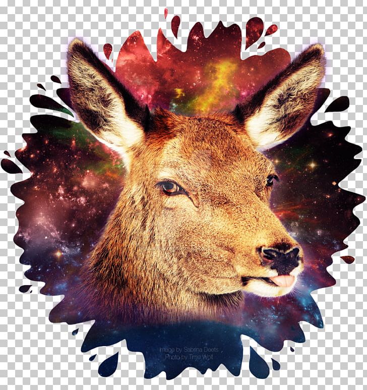 Reindeer Antler Fauna Wildlife PNG, Clipart, Antler, Cartoon, Deer, Fauna, Galaxy Free PNG Download